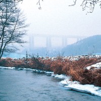 rosen-eifel-ardennen7